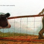 Daisy the Moo Cow - One day the farmer forgot to shut the gate.jpg