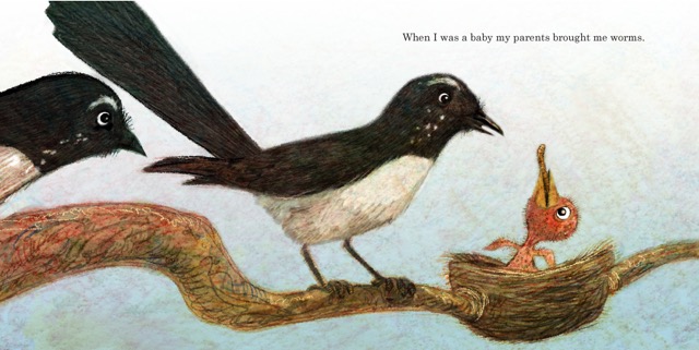 Willy Wagtail-When I was a baby my parents brought me worms.jpg