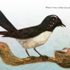 Willy Wagtail-When I was a baby my parents brought me worms.jpg