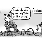 5- Lettuce cartoon.jpg